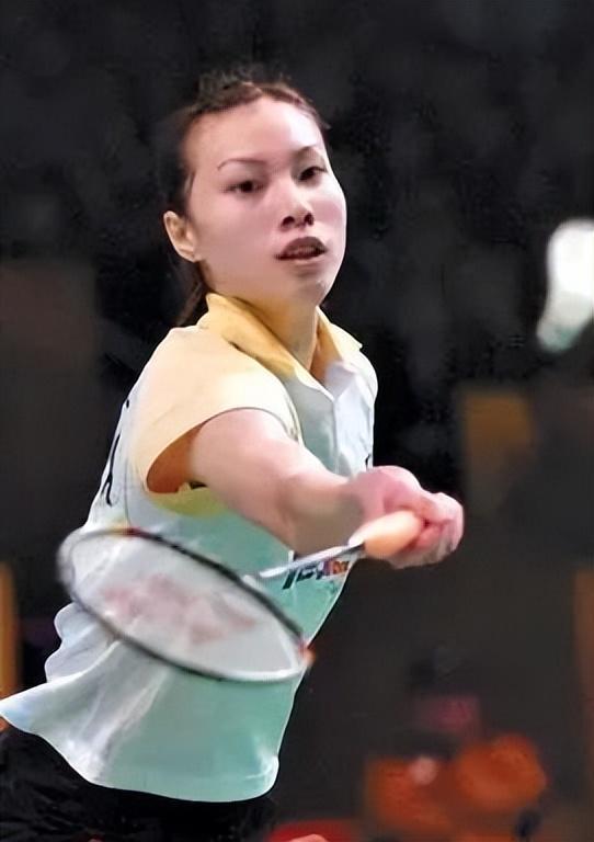 场的保护伞 场的保护伞